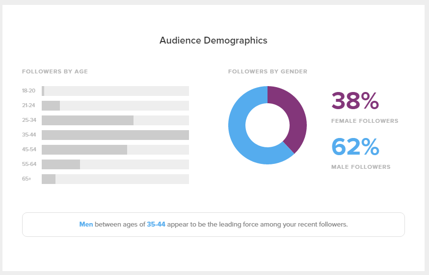 twitter demographics