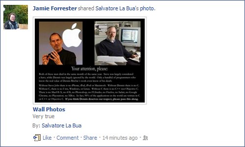 The Activity Feed The Activity Feed