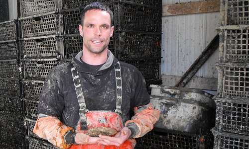 Rob Tryon - Effing Oysters Rob Tryon - Effing Oysters