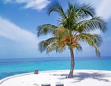 Where Blue Ocean Strategy Meets Social Media Where Blue Ocean Strategy Meets Social Media