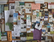 5 Brands Using Pinterest Brilliantly 5 Brands Using Pinterest Brilliantly