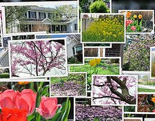 3 Creative Ways Realtors Use Pinterest 3 Creative Ways Realtors Use Pinterest