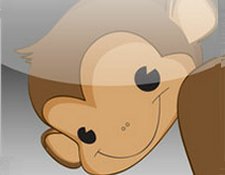 Spotlight on Startups - Infinite Monkeys Spotlight on Startups - Infinite Monkeys