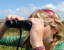 social media storytelling