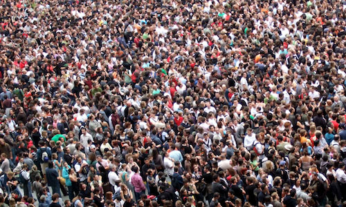 Crowd 500