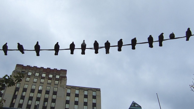 twitter-retweet-study
