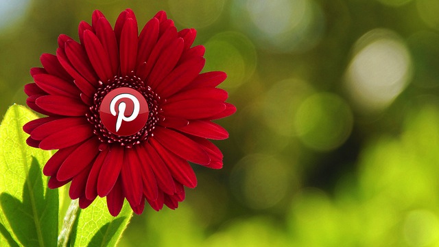 pinterest-engagement-brands