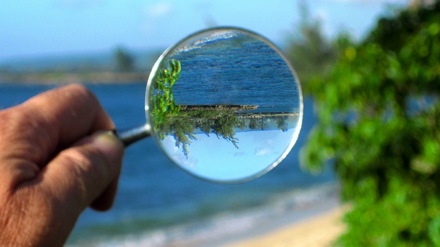 magnifying glass