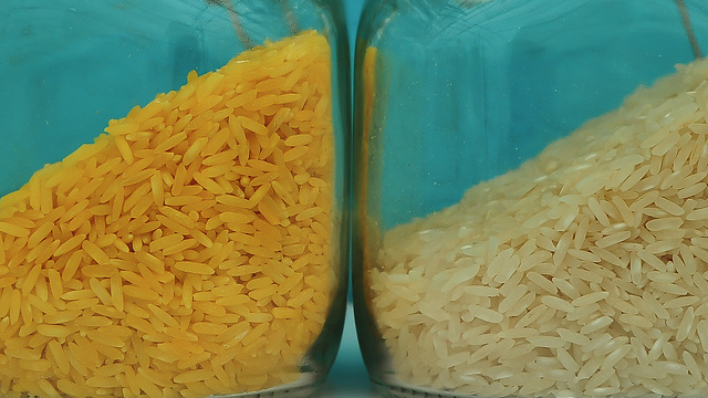 Rice