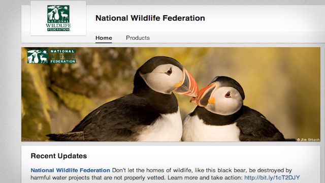 LinkedIn-NWF LinkedIn-NWF