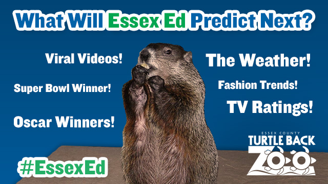 3761_640x360_ZooFBGraphic_essexEd
