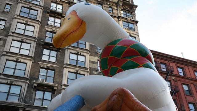 Aflac duck