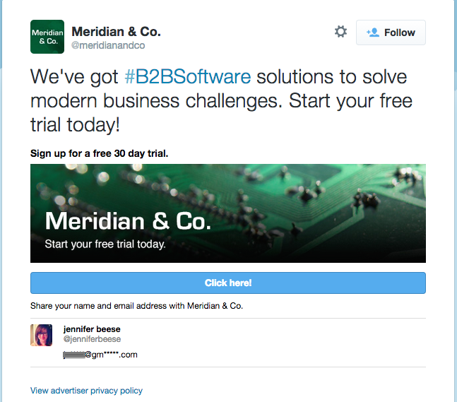 Twitter Lead Generation Card Example