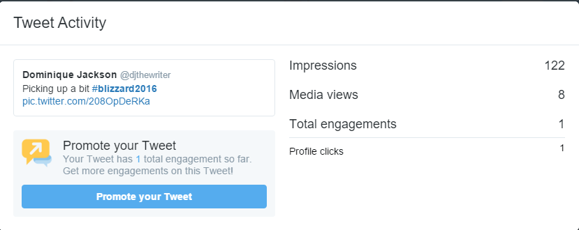 Tweet Activity Stats