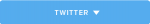 twitter-button