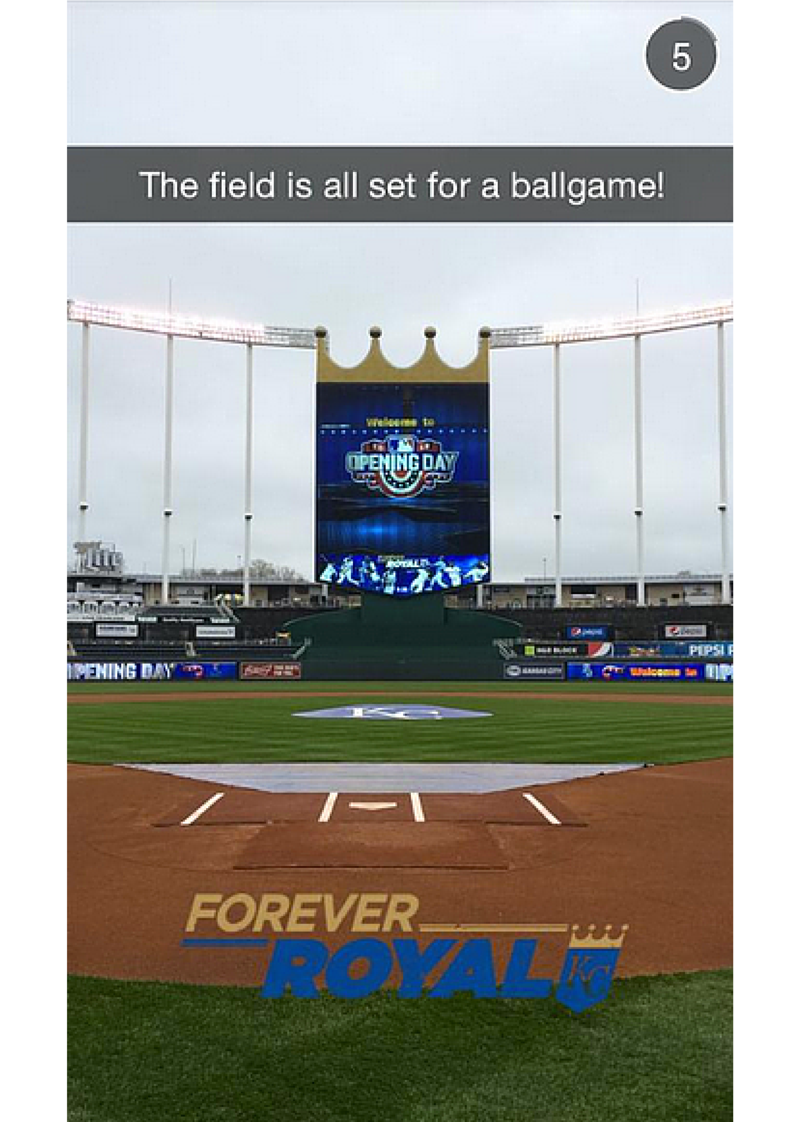 Royals_Filter