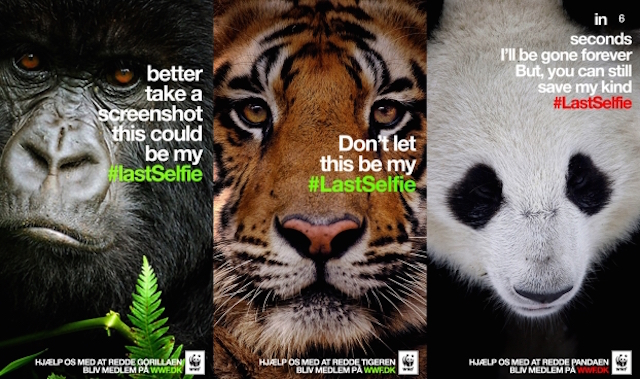 WWF Last Selfie