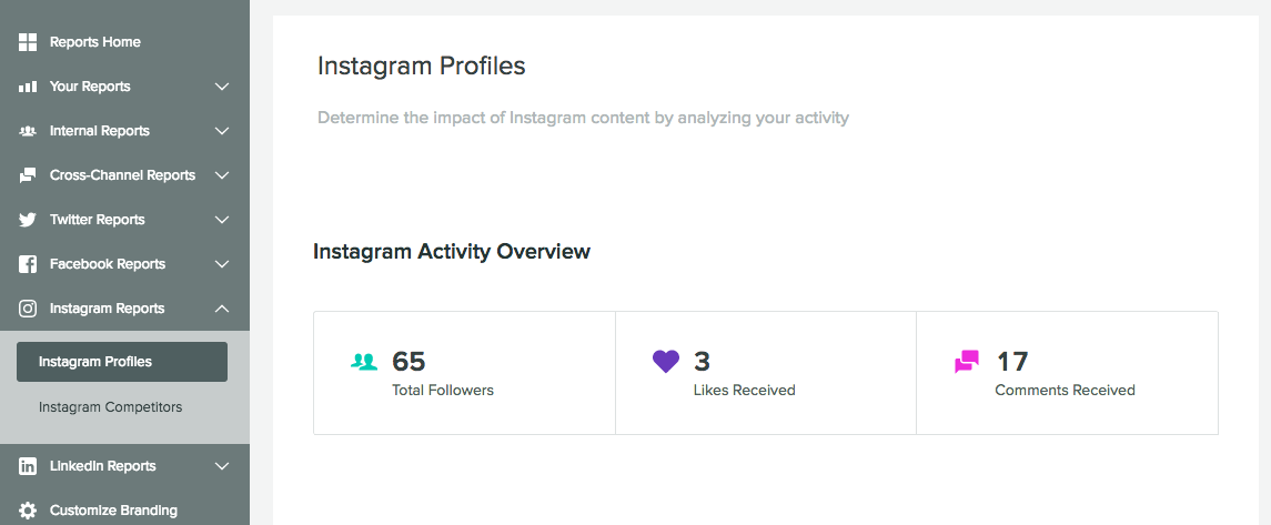 instagram profiles report