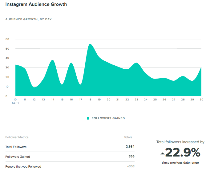 instagram audience growth report