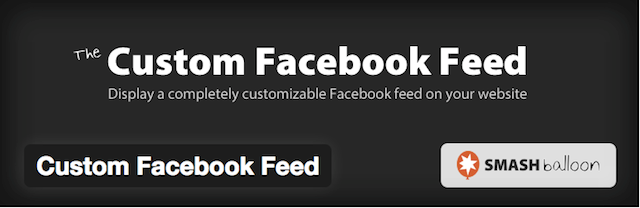 Example of Custom Facebook feed button