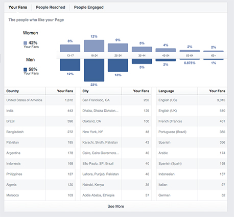 Facebook Insights can help inform you about your specific audience's demographics