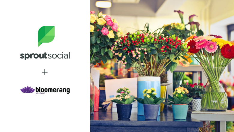 bloomerang case study header
