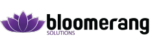 bloomerang logo