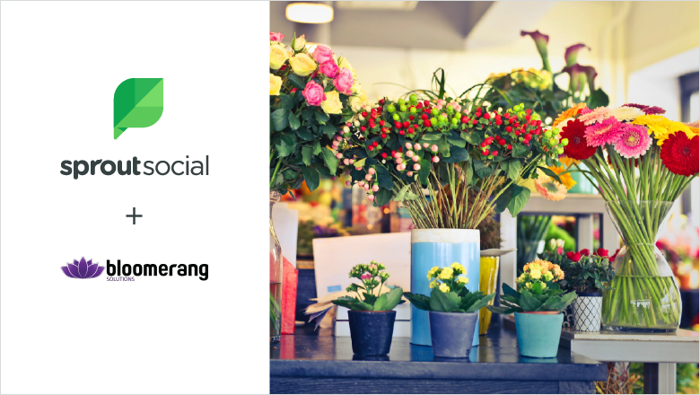Bloomerang blog header