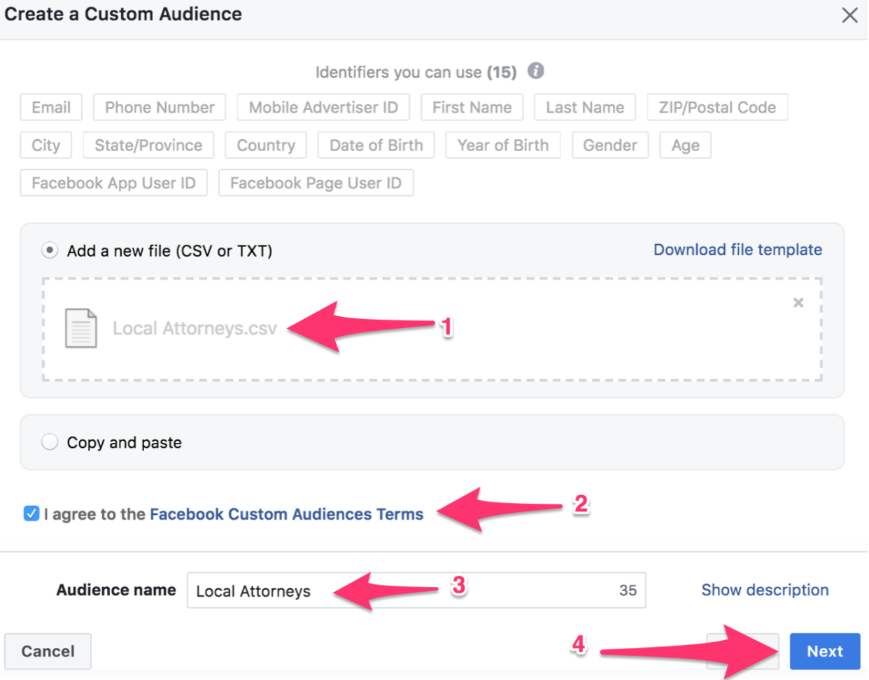 create a custom audience example