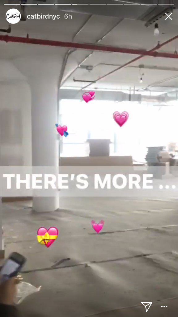 Catbird NYC instagram story