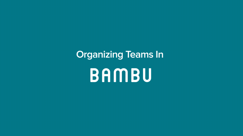 organizing teams in bambu
