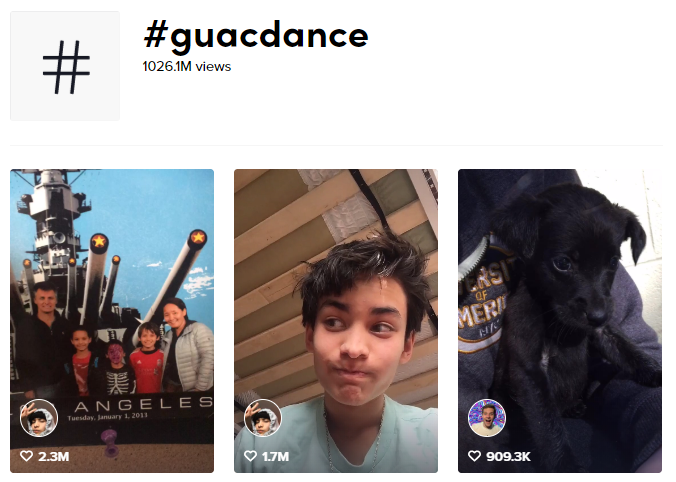 search results for guacdance hashtag challenge