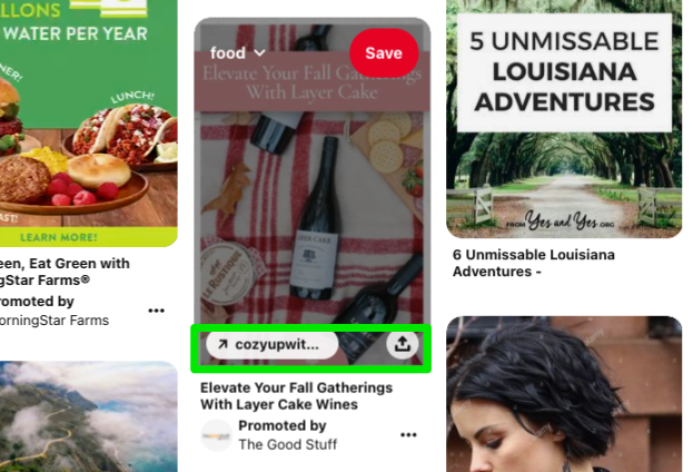 Screenshot of a Pinterest feed with a green box around a One-Tap Pin with an immediate external link visible.