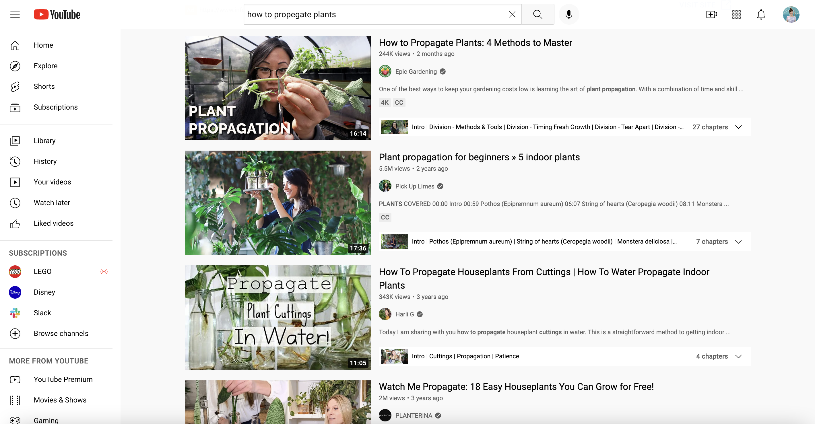 A screenshot of the top videos in the Youtube search results for the query, how to propagate plants.