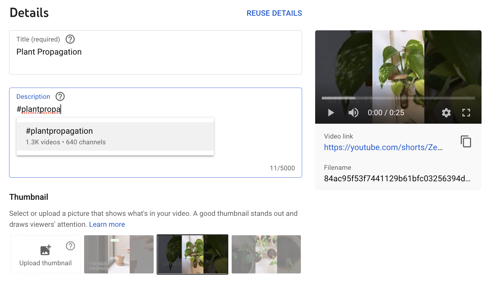 A view of YouTube video upload screen showing how you can type hashtags into the description of the video to see its search volume.