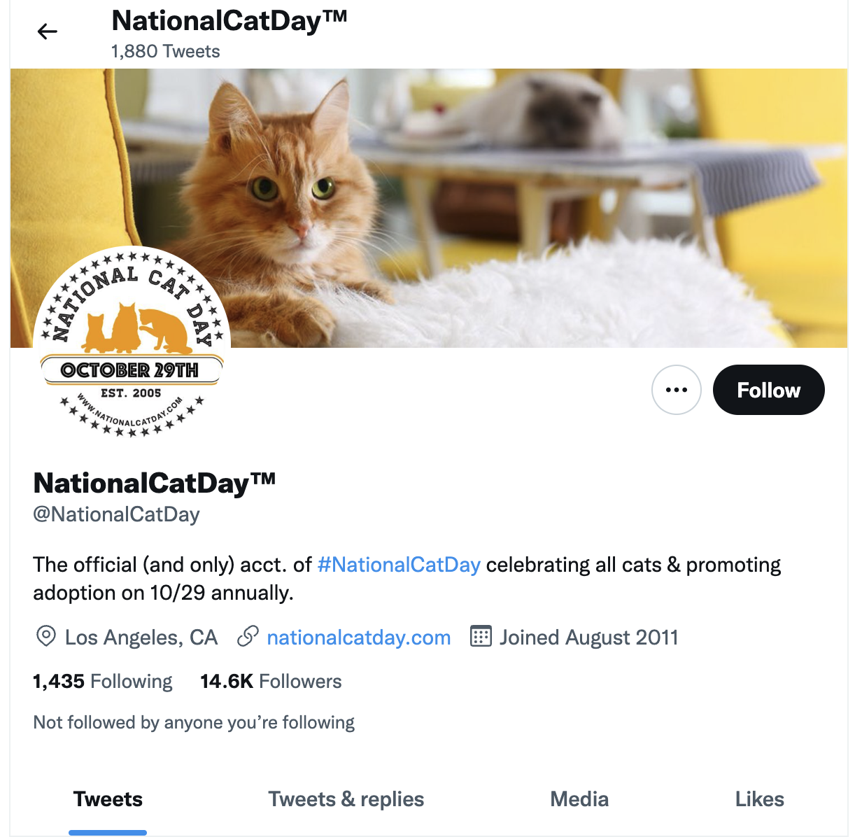 National Cat Day Sprout Social