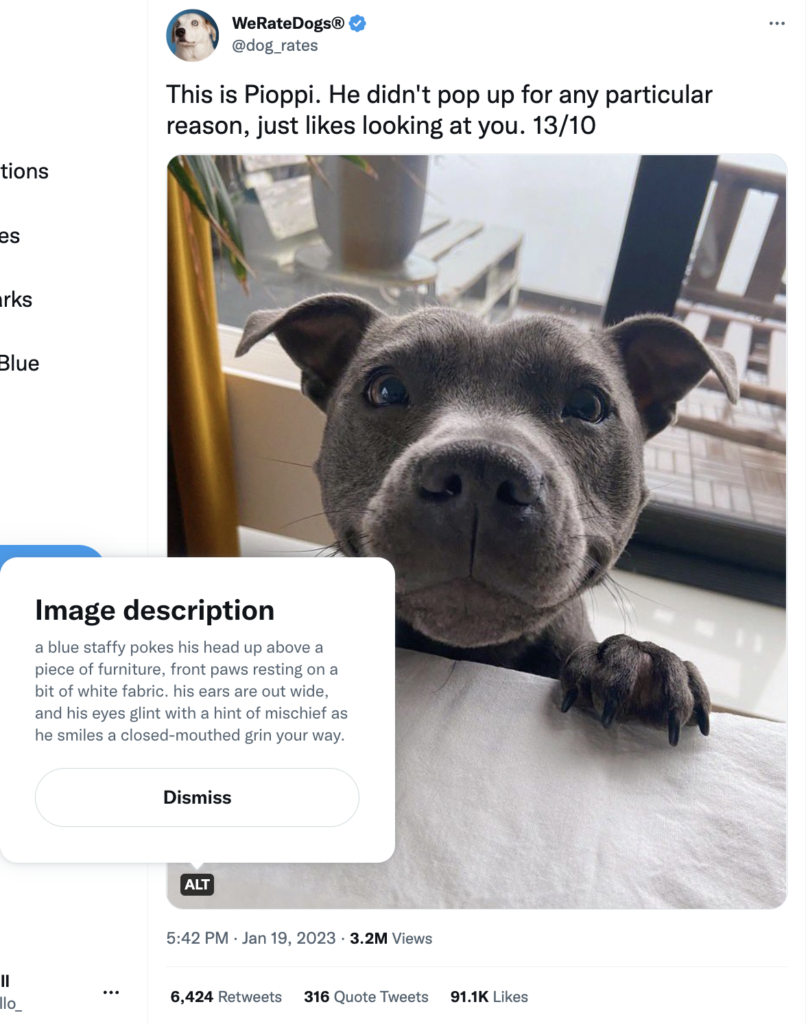 A screenshot of the Twitter account We Rate Dogs featuring a photo of a cute grey puppy and the alt text of the image, which reads a blue staffy pokes his head up above a piece of furniture, front paws resting on a bit of white fabric. His ears are out wide, and his eyes glint with a hint of mischief as he smiles a closed-mouthed grin your way.