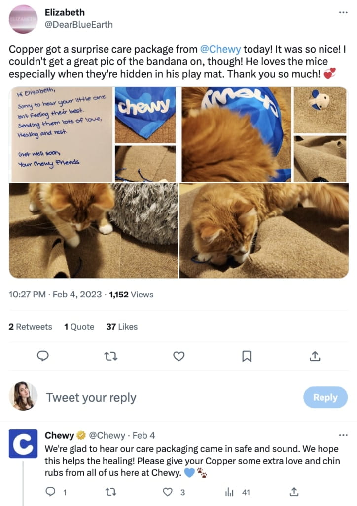 A Tweet showing photos of a handwritten note from Chewy wishing the customer's sick pet a swift recovery. A fluffy orange cat is present in each photo.