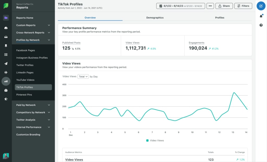 A screenshot of Sprout's TikTok Performance Report that demonstrates the number of published posts, views and engagements from one TikTok account.