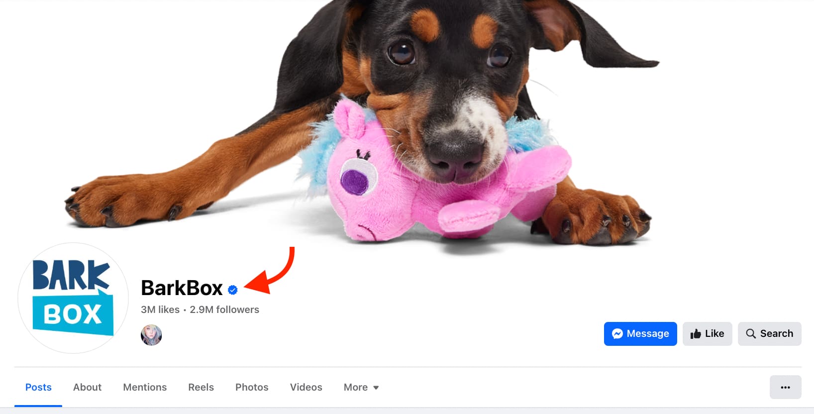 Barkbox Facebook Page showing a brown and black dog with a pink soft toy in its mouth as the cover photo and a red arrow pointing to the blue check mark next to the page name
