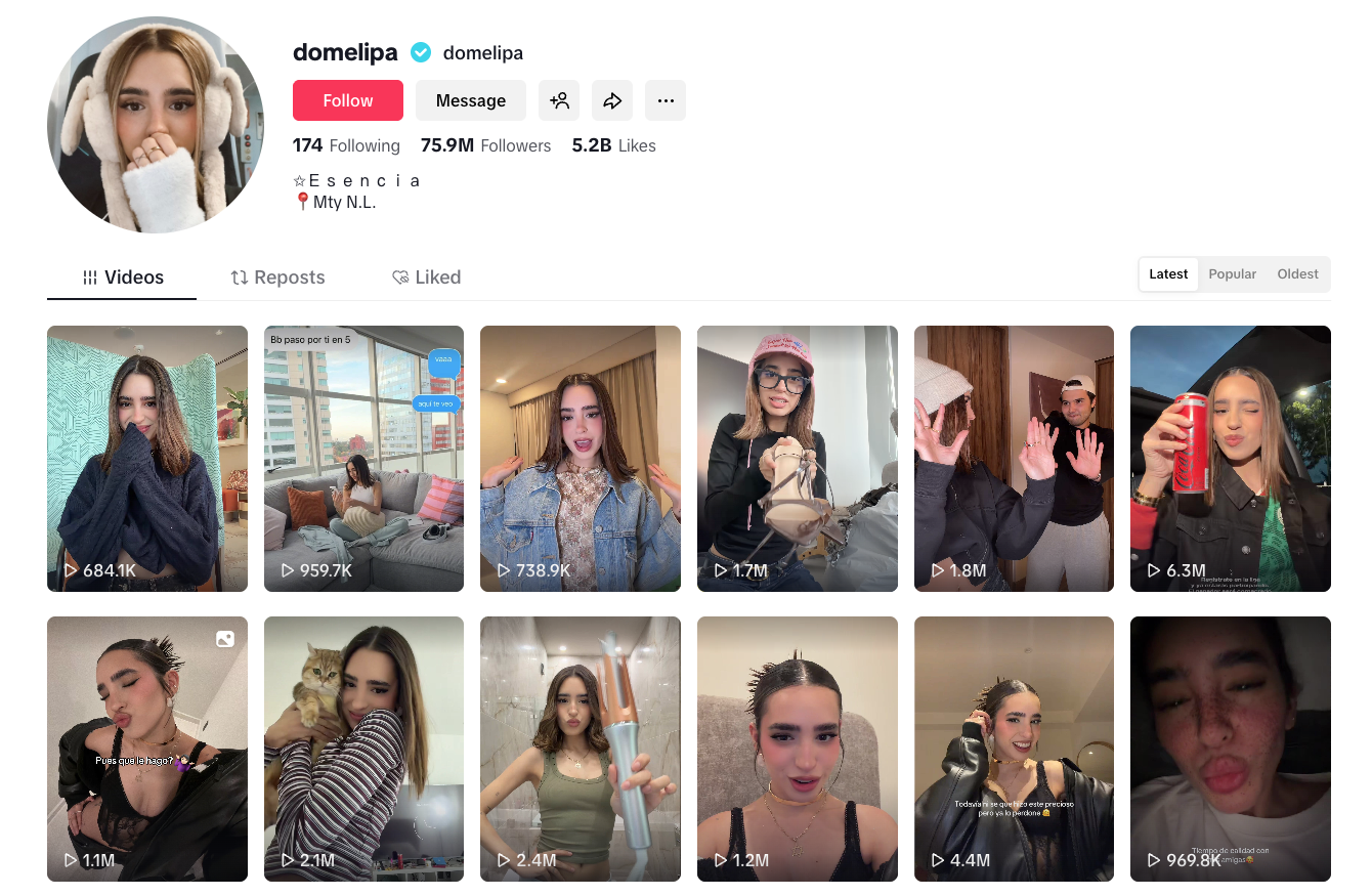 Domelipa's TikTok profile.