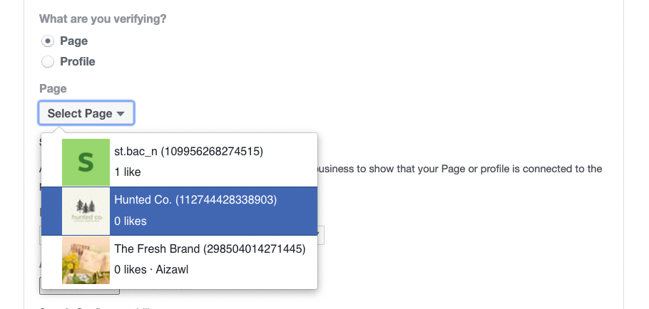 section of the Facebook Page verification form showing the option to choose a type of verification and a drop-down menu showing different Facebook Pages to select