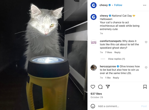 national cat day post on Instagram by Chewy