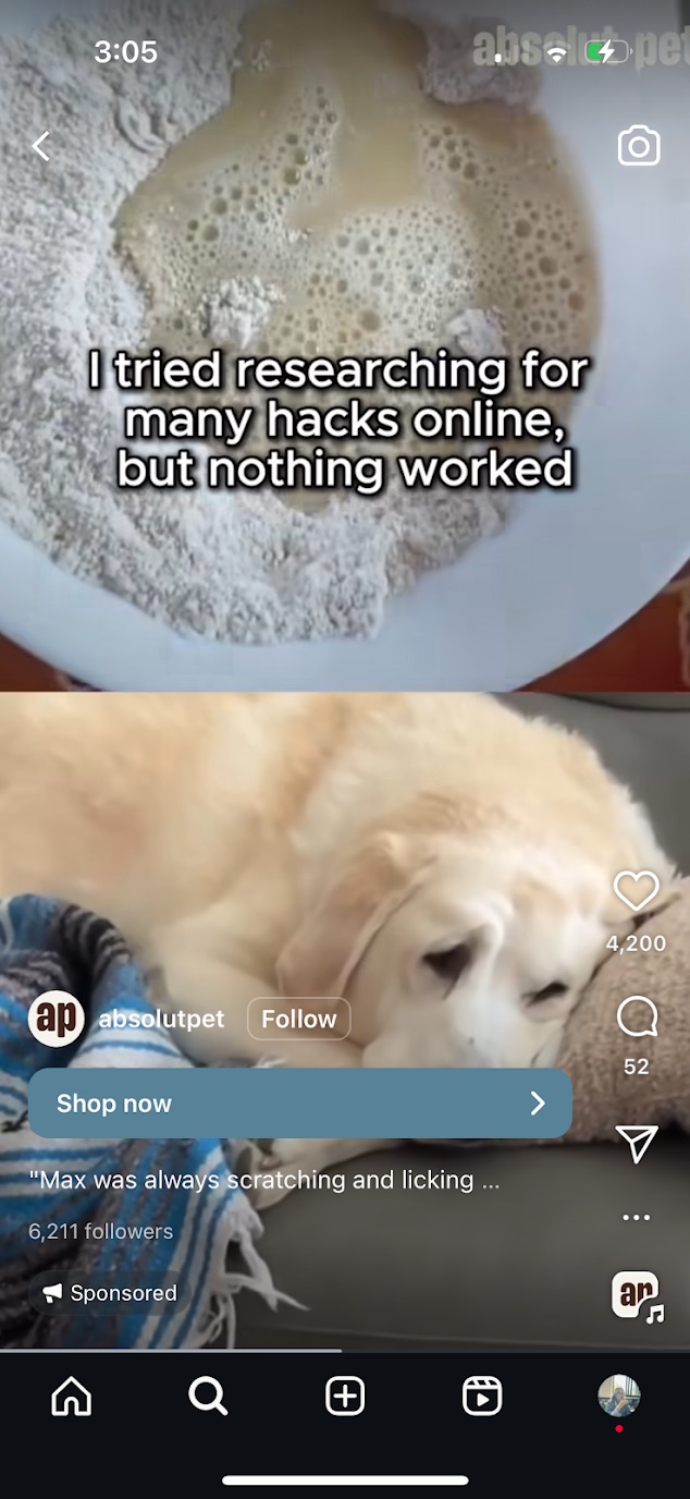 A Reels ad showing a picture of a Labrador Retriever lying down and another panel above the screen showing text that reads "I tried researching for many hacks online, but nothing worked"
