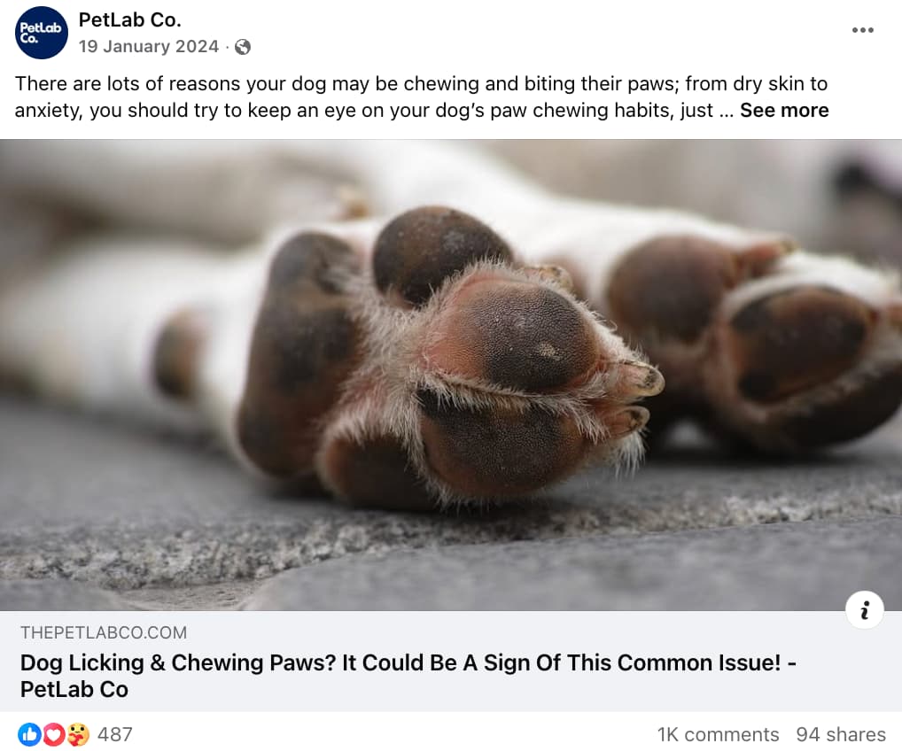 PetLab Co. Facebook post promoting a link to a blog post titled "Dog Licking & Chewing Paws? It Could Be a Sign of a Common Issue" and a thumbnail showing a pair of dog paws