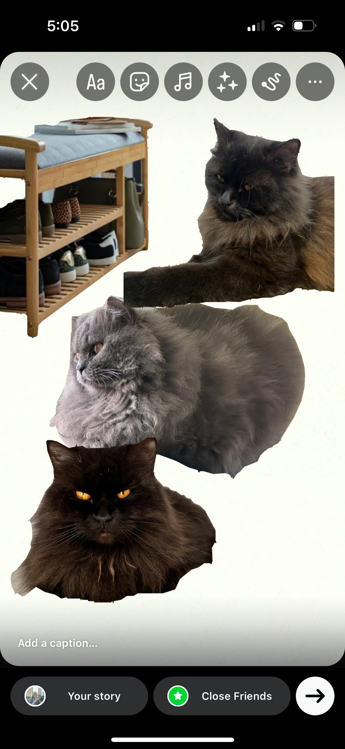 3 cutouts of cats and 1 cutout of a shoerack against a white background