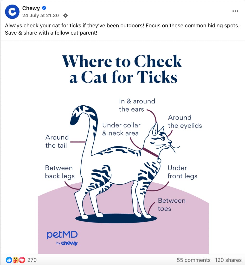 Chewy Facebook post showing an illustration of a cat titled "Where to Check a Cat for Ticks" and several lines indicating the areas to check
