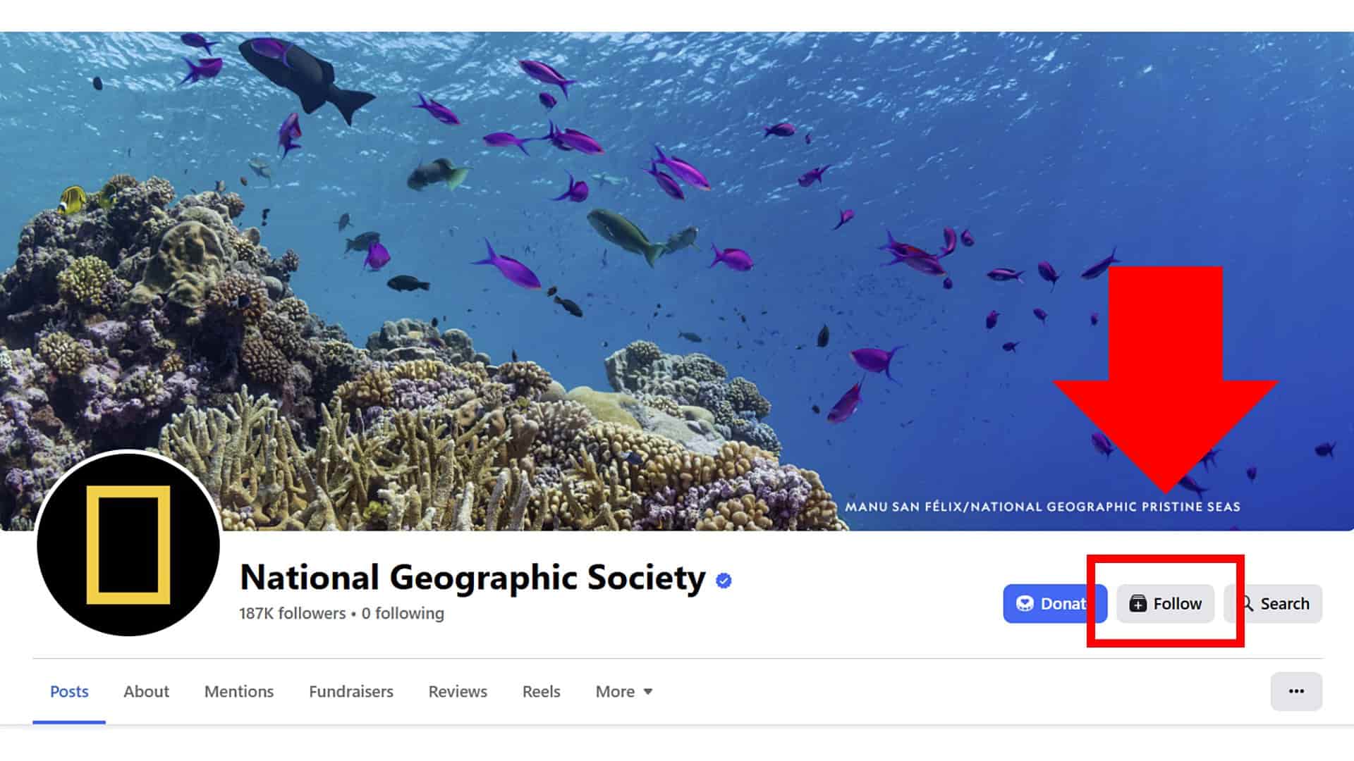 An arrow pointing to the follow button on the National Geographic Society’s Facebook Page