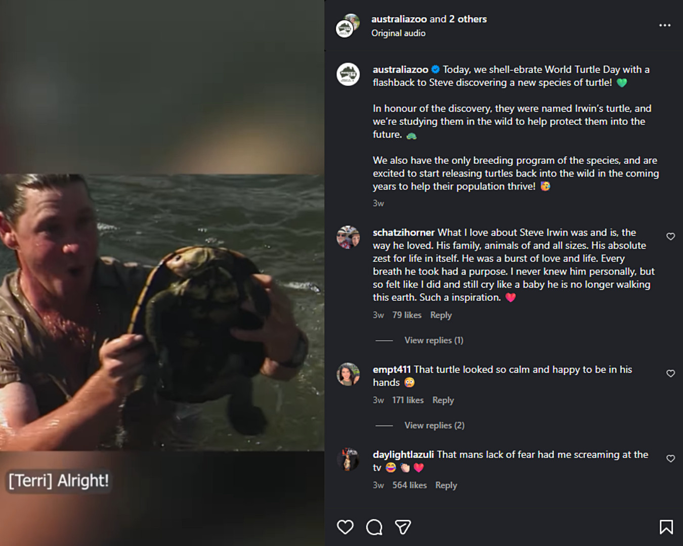 Australia Zoo celebrated World Turtle Day with a throwback clip of Steve Irwin discovering a new species.