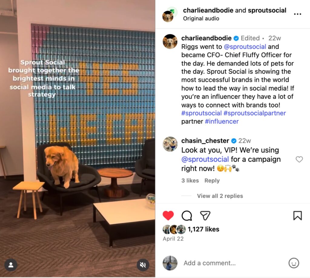 An Instagram Reel from @CharlieAndBodie created in collaboration with Sprout Social. 